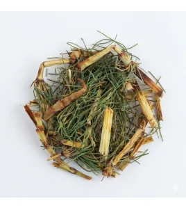 ذيل الحصان-Horsetail