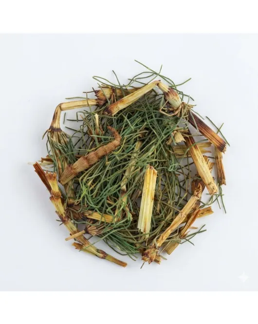 ذيل الحصان-Horsetail