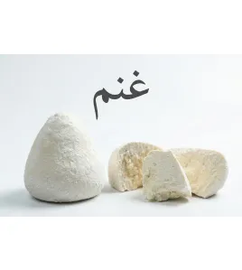 جميد كركي