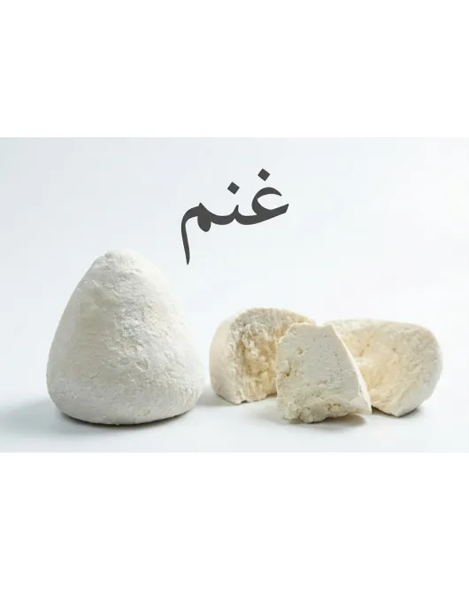 جميد كركي جميد كركي