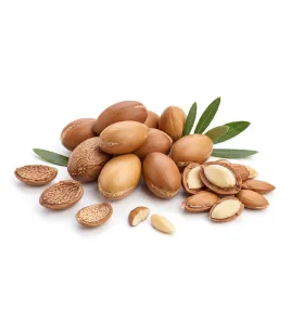 بذر الارغان
