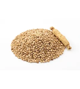 بذور جنسينغ