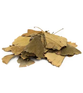 جنكو - الجنكة