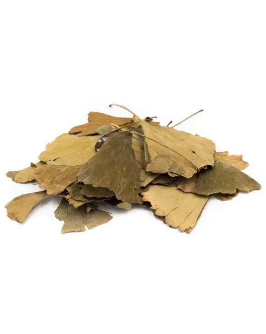 جنكو - الجنكة