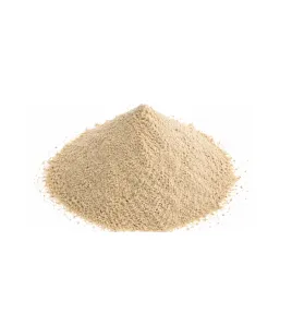 بهار صيني