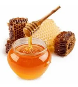 سنديان حرشي كبير