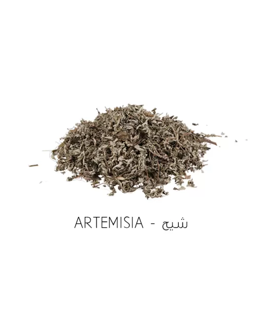 شيح-Artemisia