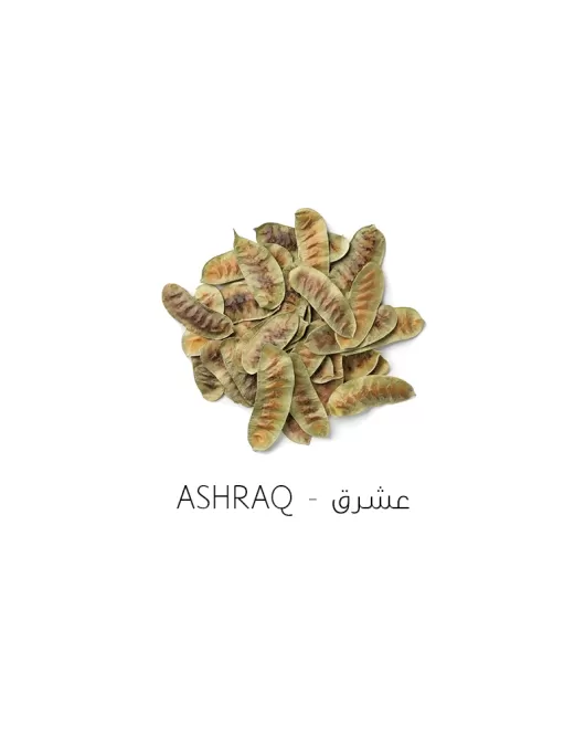 عشرق-Ashraq