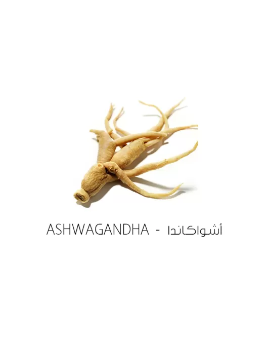 أشواكاندا-Ashwagandha