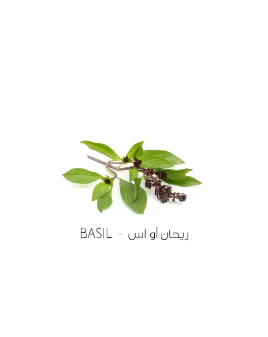 ريحان أو آس-basil