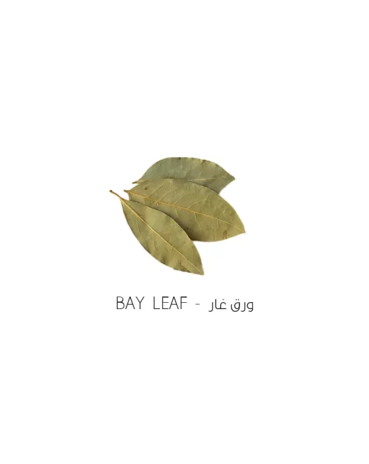 ورق غار-Bay leaf