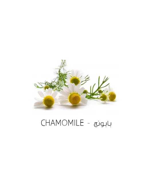 بابونج-chamomile