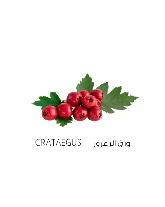 ورق الزعرور-Crataegus