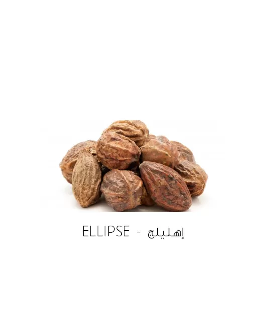 إهليلج-Ellipse