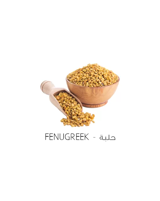 حلبة-Fenugreek