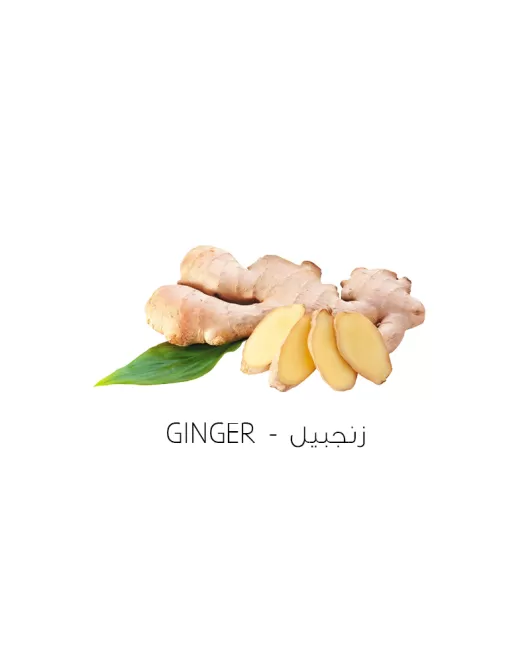 زنجبيل-ginger