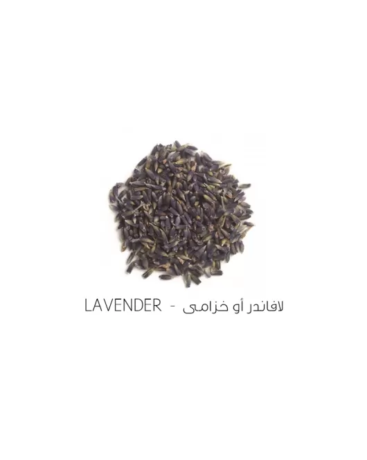 لافاندر أو خزامى-lavender