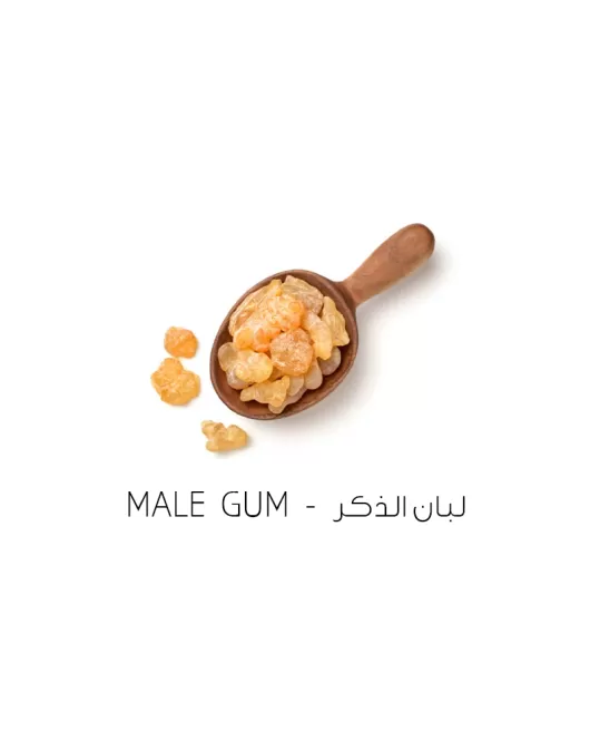 لبان الذكر-Male gum