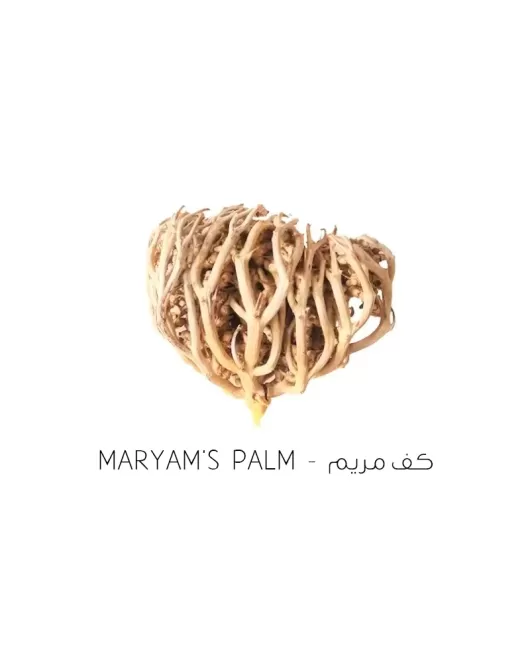 كف مريم-Maryam's palm