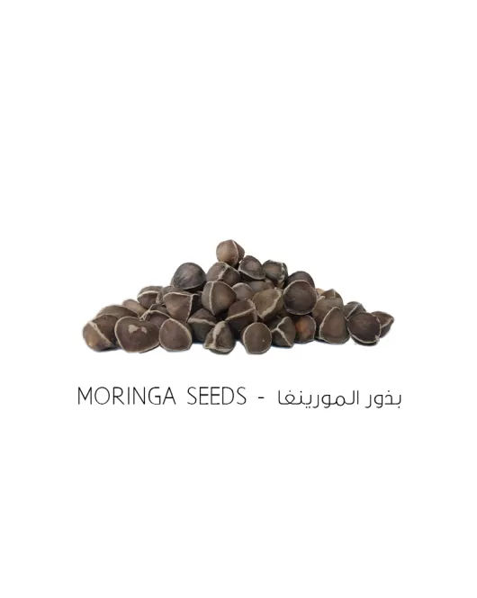 بذور المورينغا-Moringa seeds 