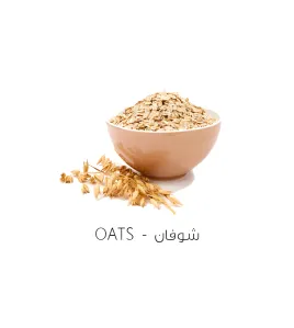 شوفان-Oats