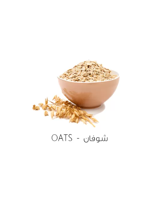 شوفان-Oats