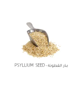 بذر القطونة/سباغول-Psyllium seed