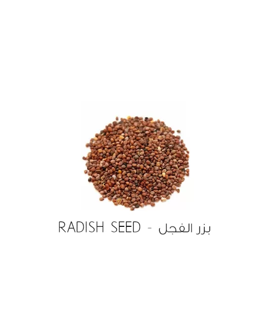 بذر الفجل-Radish seed