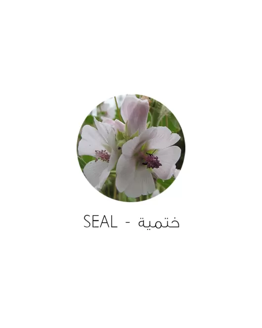 ختمية-Seal