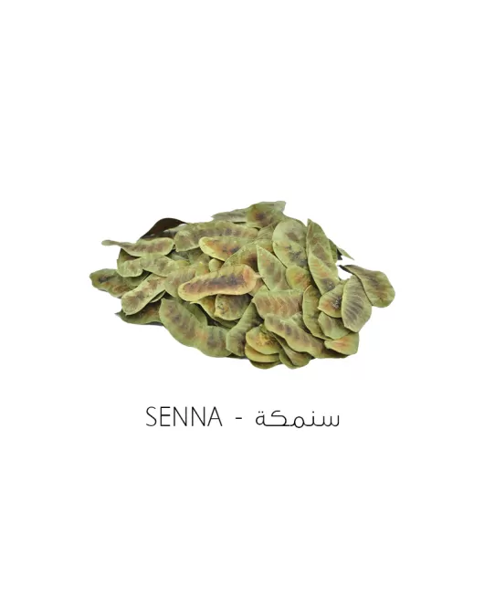 سنمكة-senna