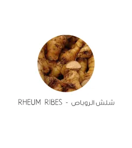 شلش الروباص-Rheum Ribes