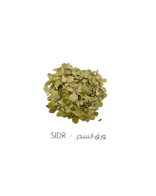 ورق السدر-Sidr 