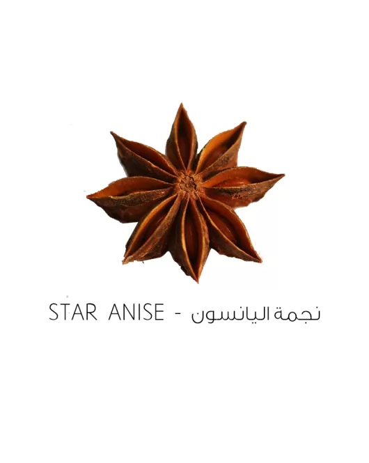 نجمة اليانسون-Star anise