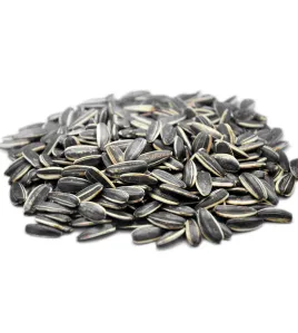 بزر دوار بلغاري 