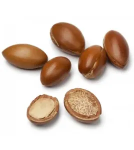 بذر الارغان