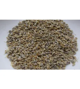 بزر بقدونس زراعي