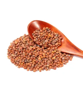 بزر فجل طبي