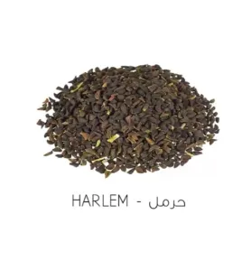 بزر حرمل طبي