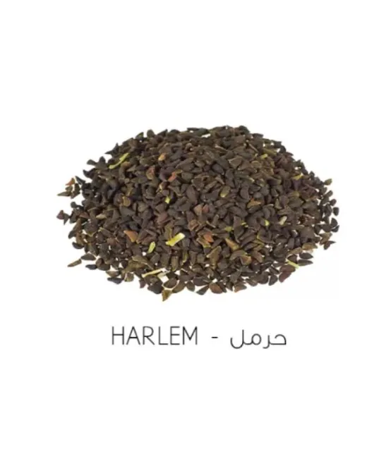 بزر حرمل طبي