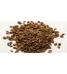 بزر خلة طبي