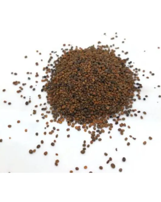 بذور جرجير-Arugula seeds