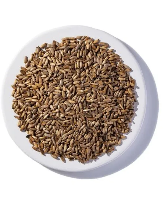 بذر شوك الجمل