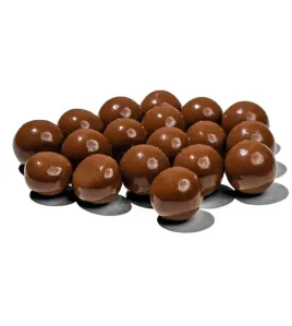 chocolate coated huzelnuts free suger