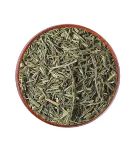 ذيل الحصان-Horsetail