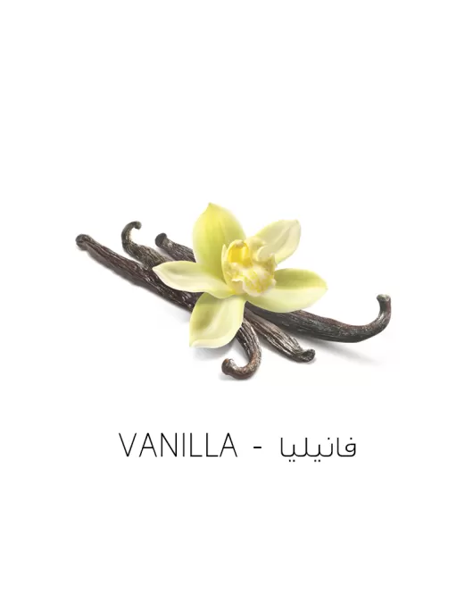 فانيليا-Vanilla