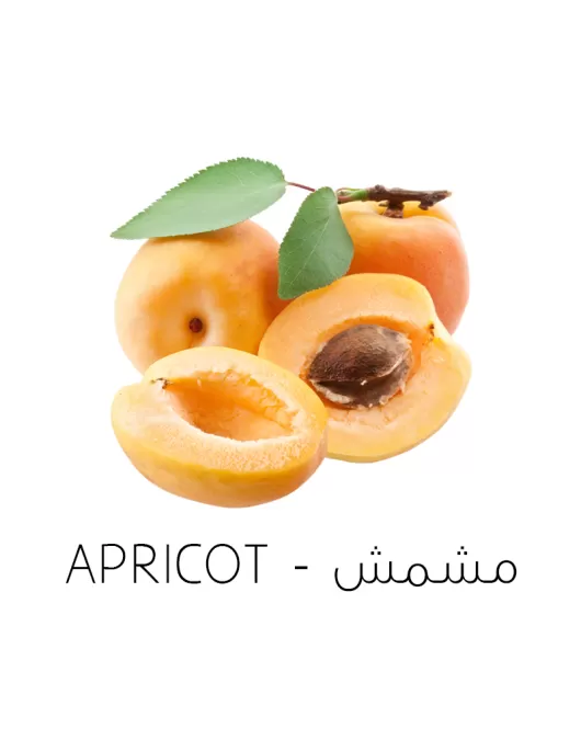 مشمش-Apricot