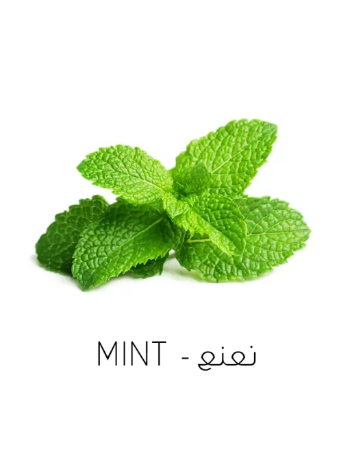 نعنع-Mint