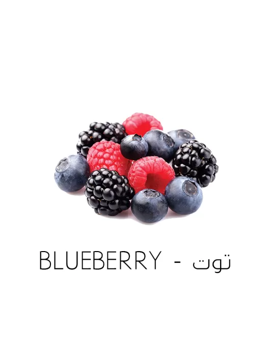 توت-Blueberry