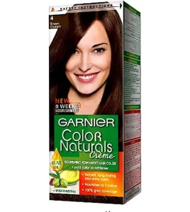 صبغة غارنييه 4