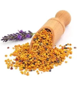 حبوب اللقاح اسباني